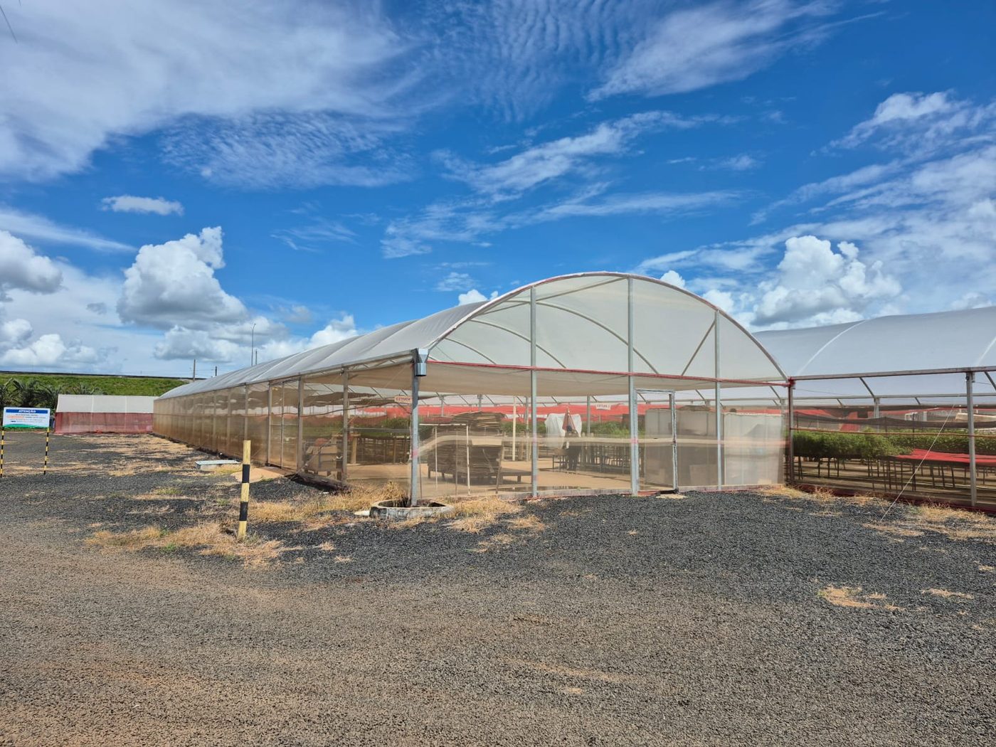 Estufa do Viveiro Flora Brasil